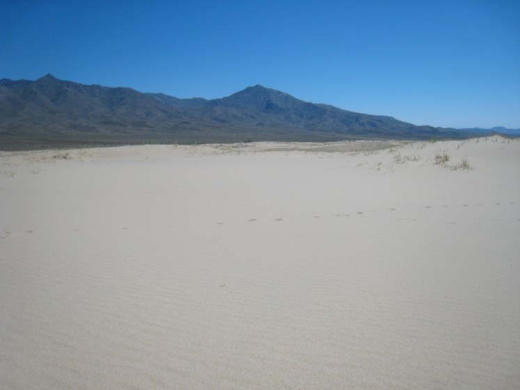 "You go on without me Lawrence"