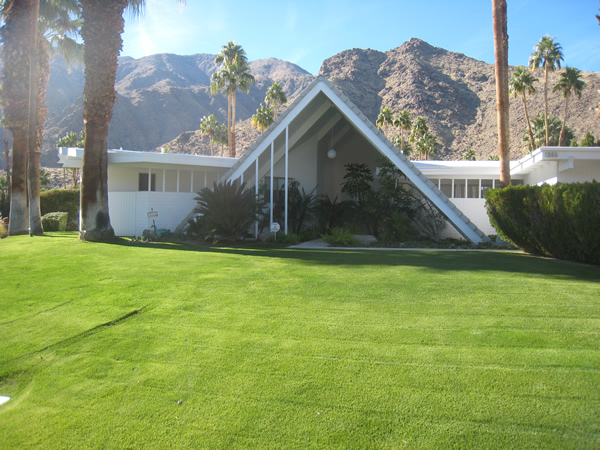 Palm Springs- Where The Grass is Sometimes&nbsp;Greener