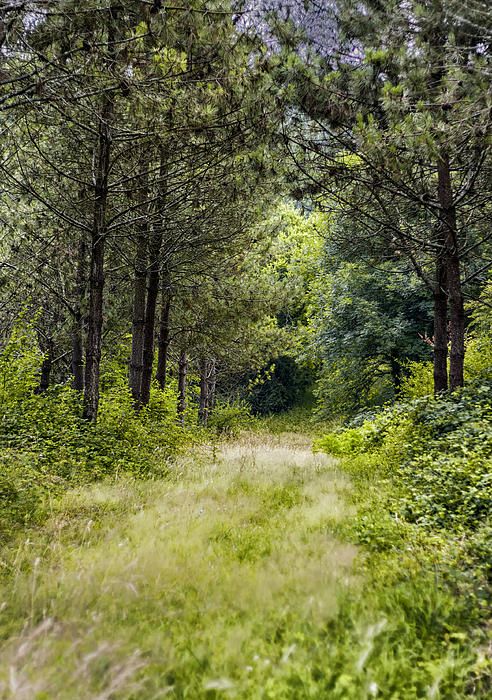 e10758672b42af9738dd6000ed358bc1